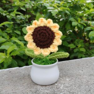 Crochet flower Pot - Dark brown