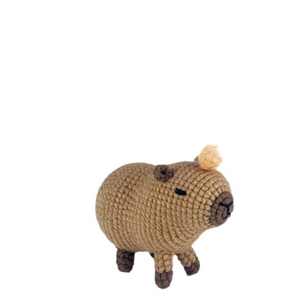 Kapibala Woobles Crochet Kit - Image 7