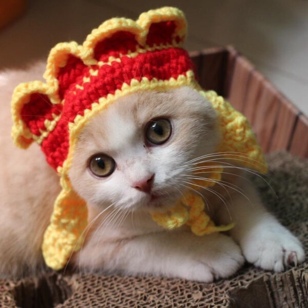 Pets Outfit Headware - Image 7