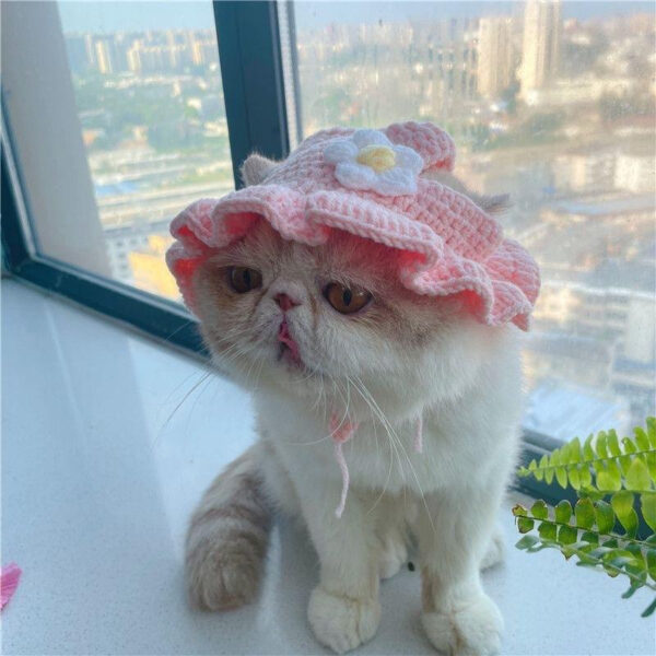 Pets Outfit Headware - Image 9