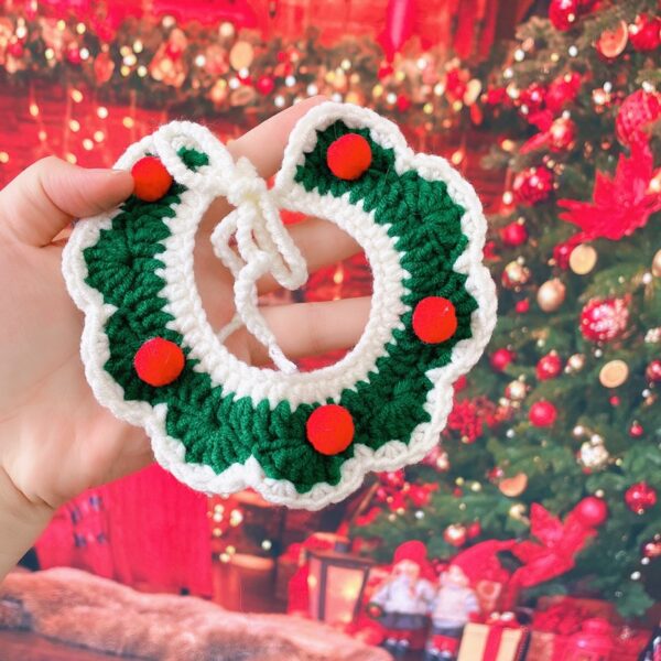 Knitted Cat Hat Crochet Dog Collar - Image 2