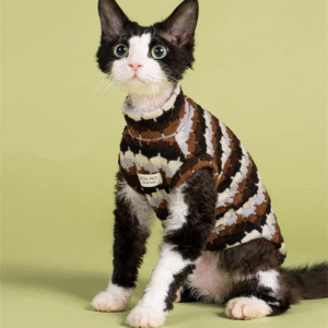 Handmade Knitted Cat Clothes