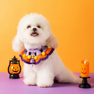 Pet Dog Collars Cat hat
