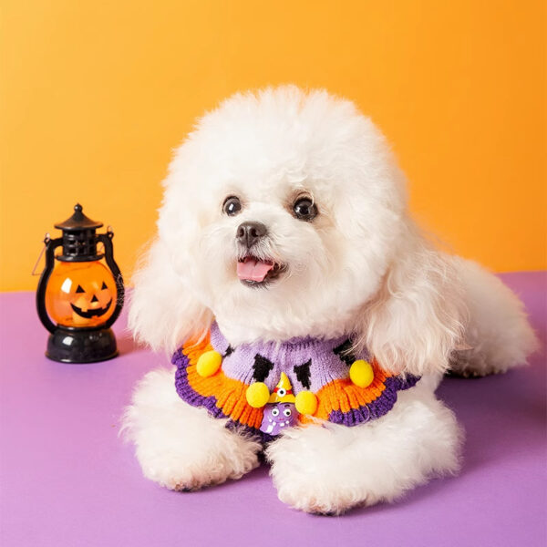 Pet Dog Collars Cat hat - Image 8