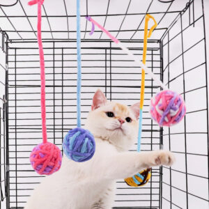 Cat Ball Toys